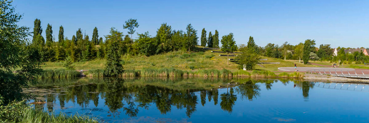 Pond landscape view