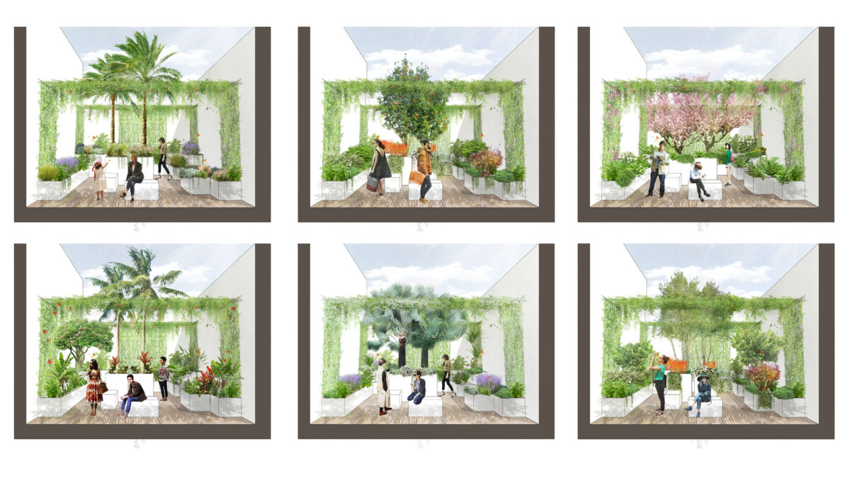 different scenarios rendering