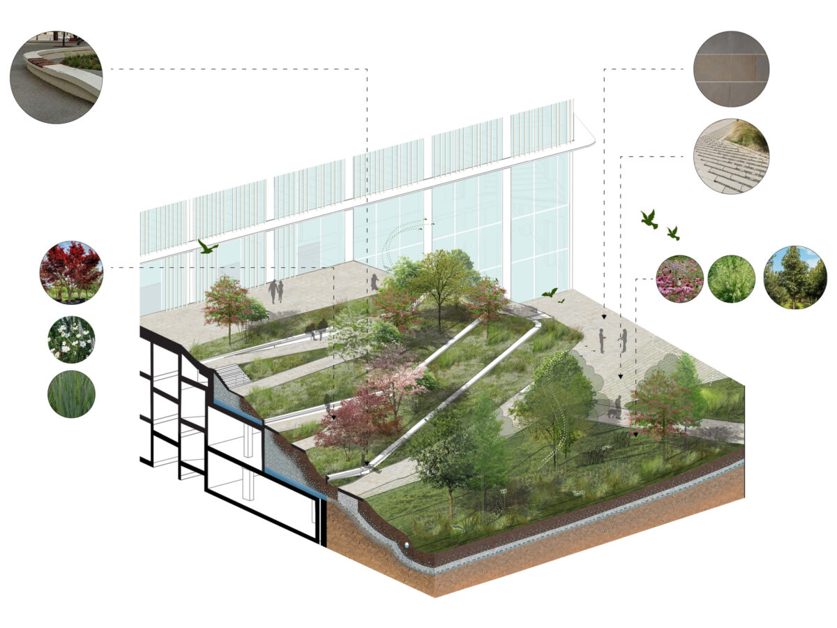 A biodiversity axnometry of the new North Rhine-Westphalia regional headquarter