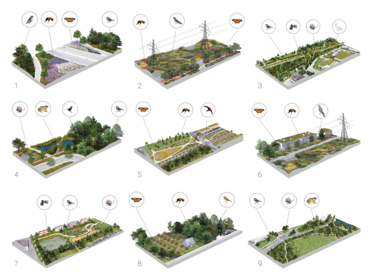 different sections of the masterplan