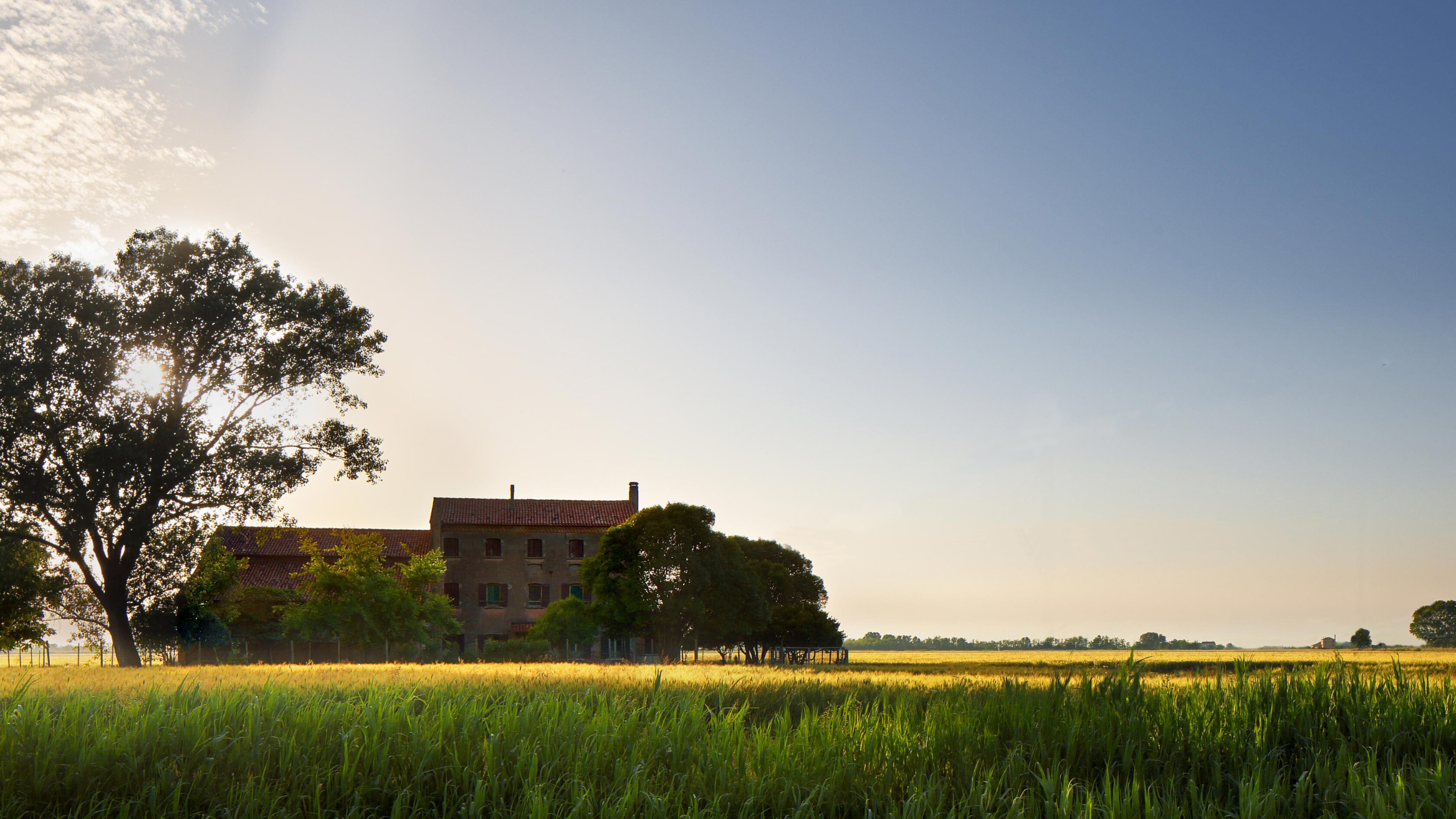Ca’ Corniani Estate (Genagricola) in the Venetian lowlands (Caorle) © Genagricola, ph Francesco Galifi