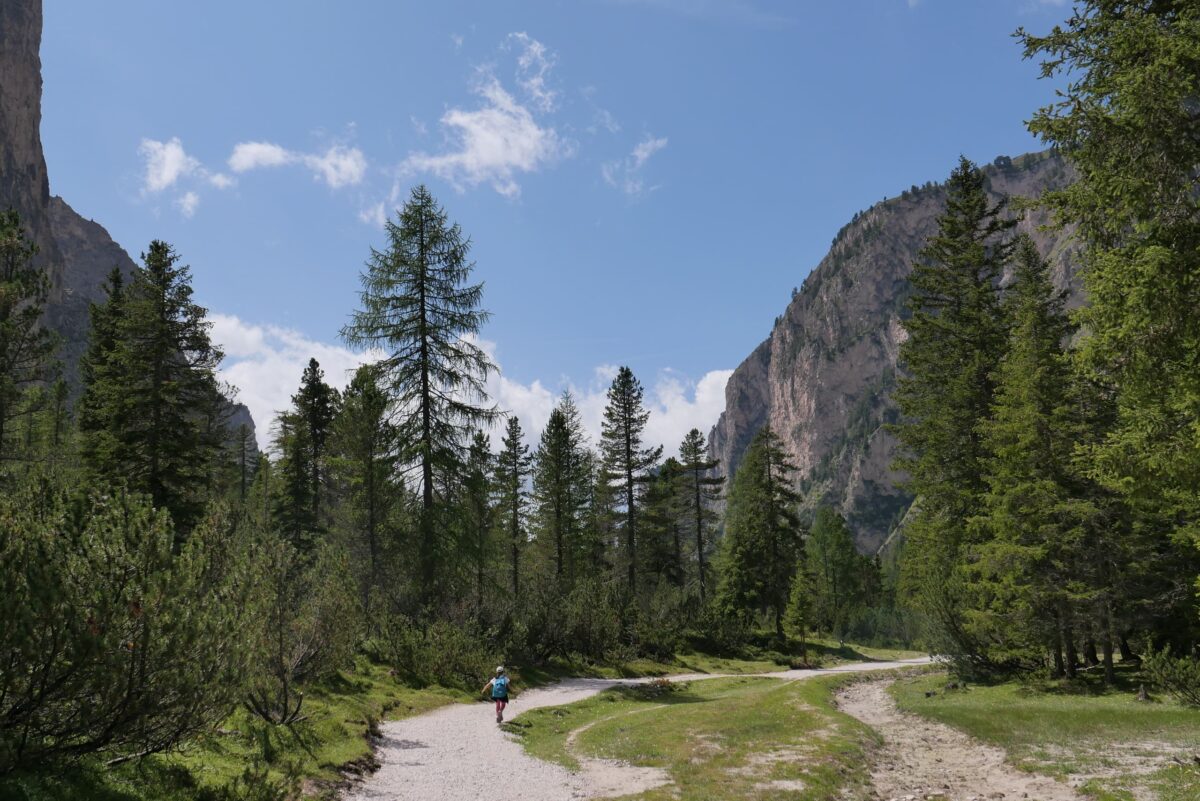 Photo by Stella-Zoë Schmidtler