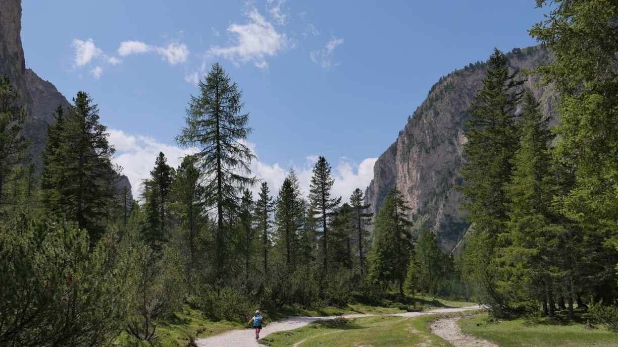 Photo by Stella-Zoë Schmidtler