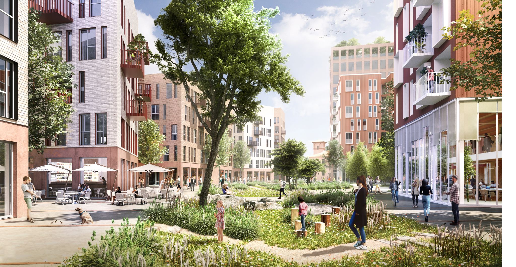 Green landscape in a residential area