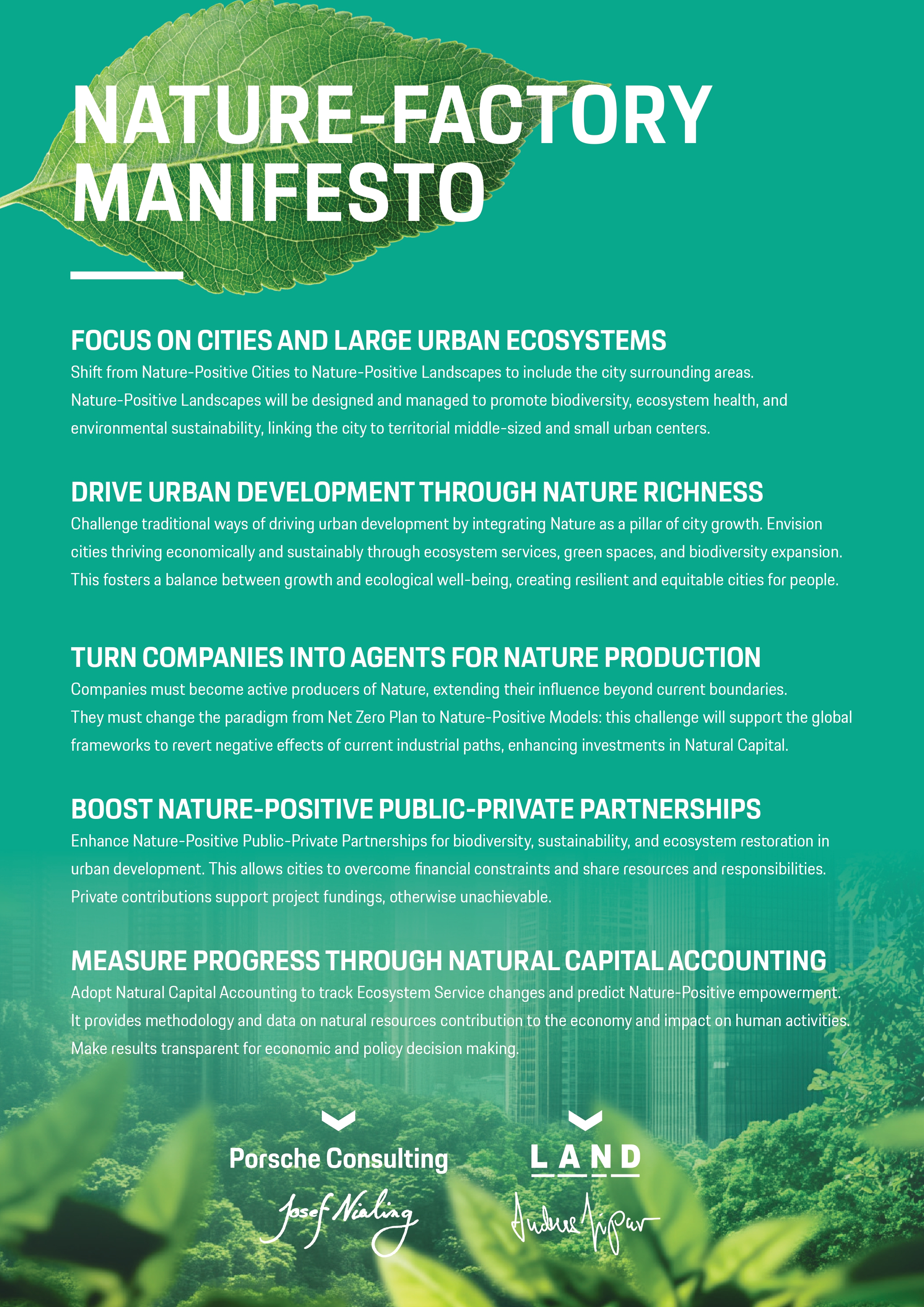 A Manifesto containing several insights for business development