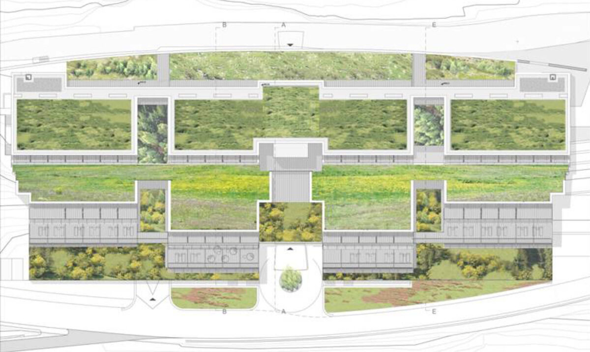 plant of the project