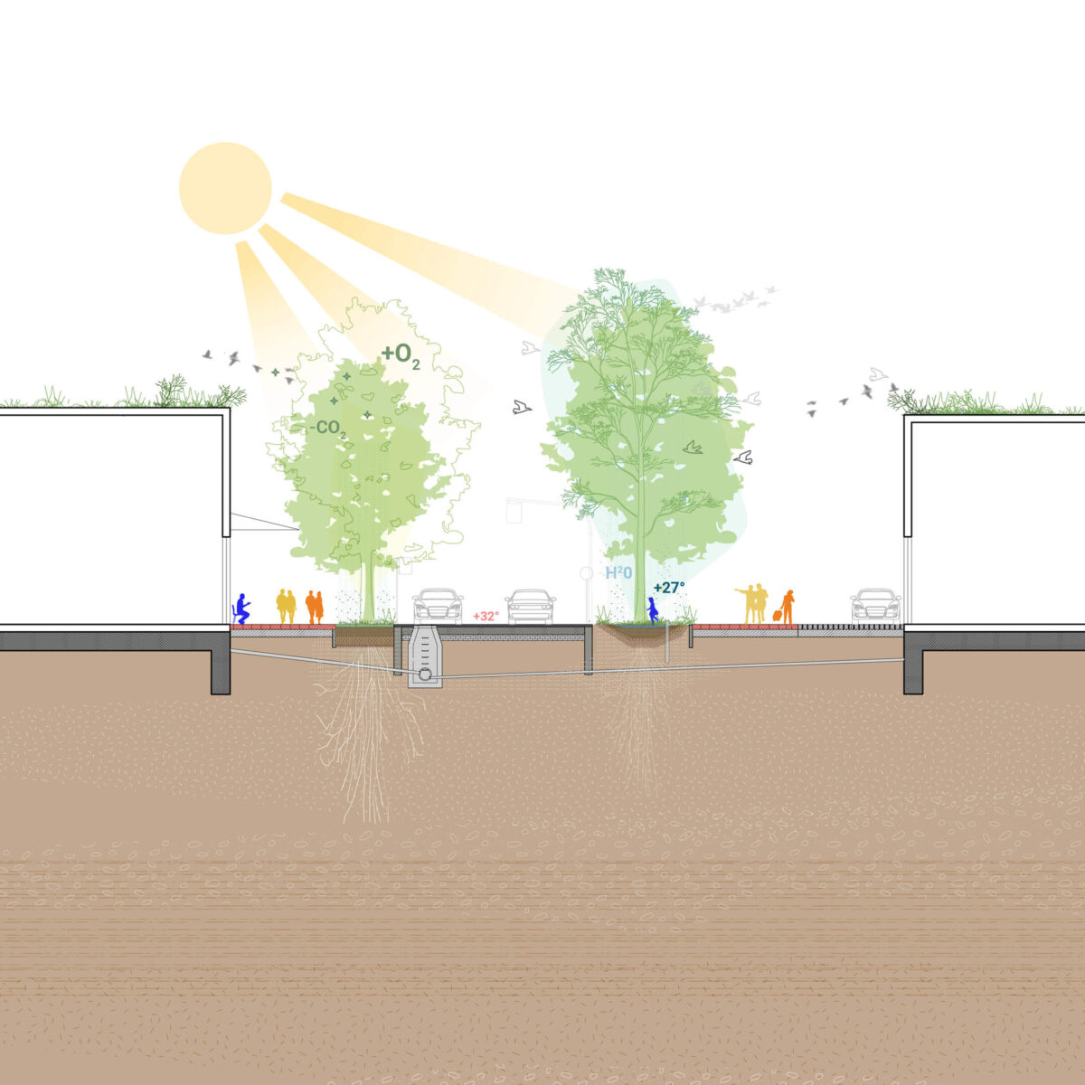 masterplan view from the side