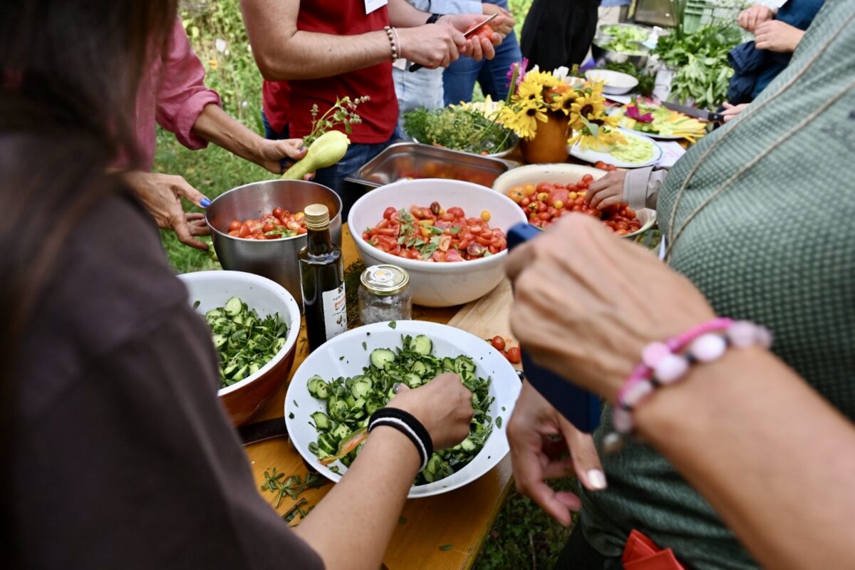 land-landconnects-2026-food