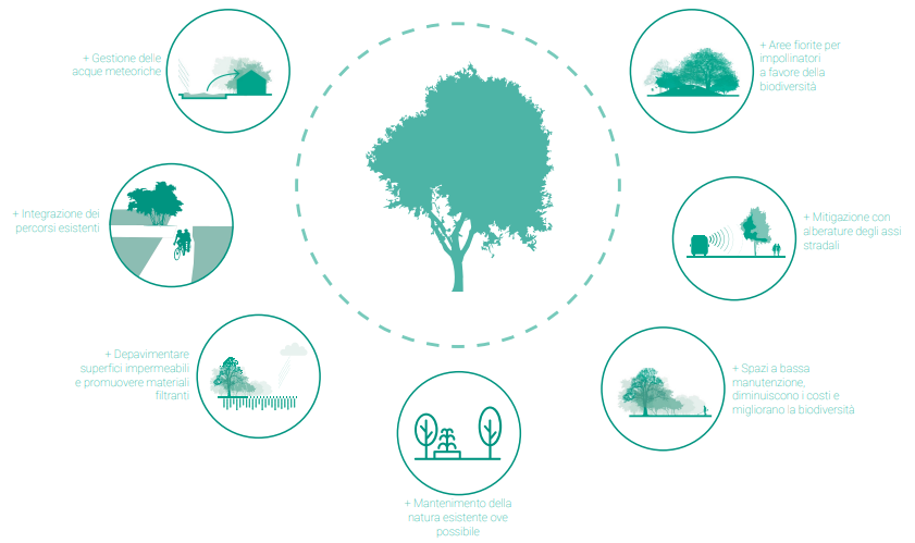 The Potential of Sponge Cities and Biodiversity