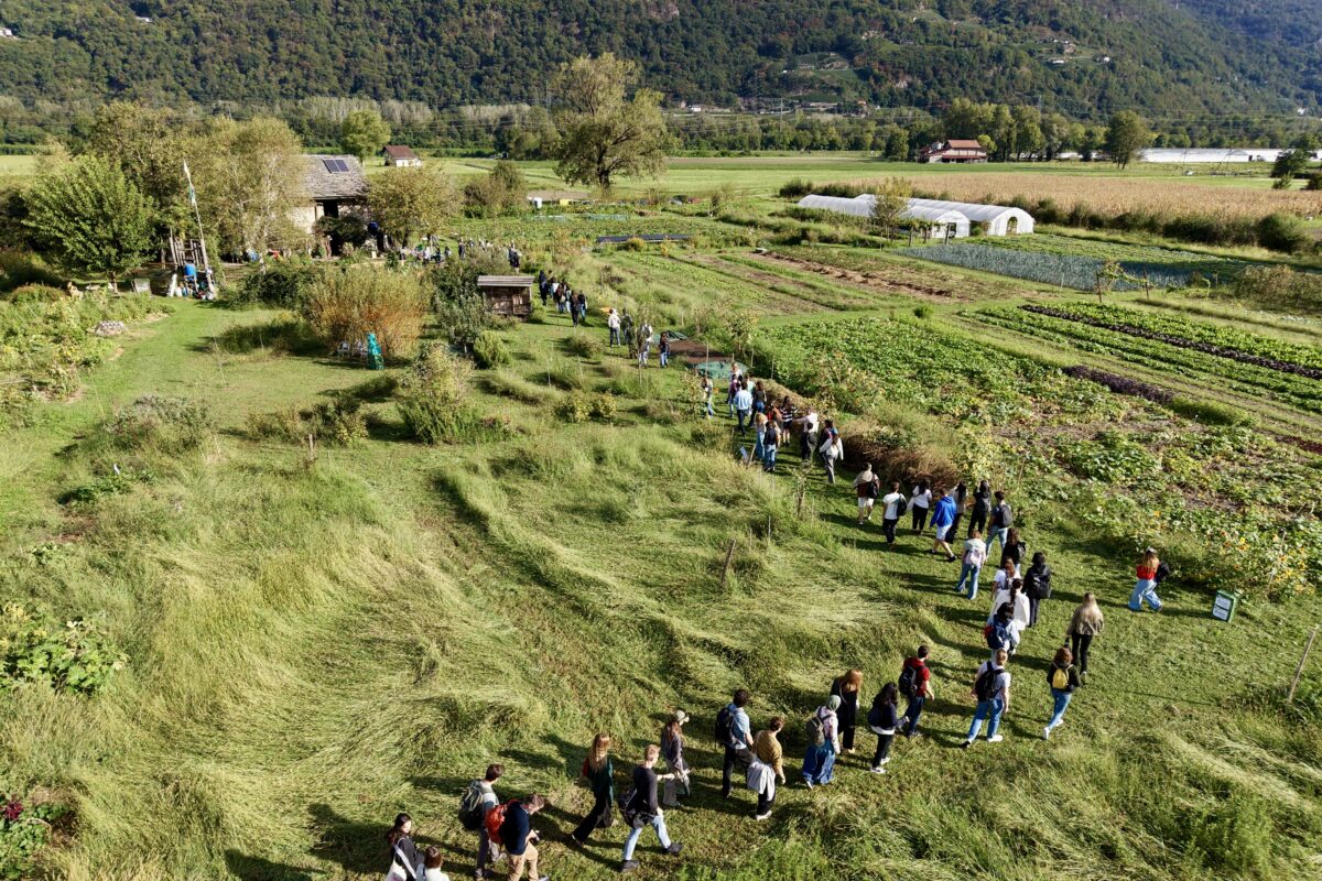 land-landconnects-2026-drone view