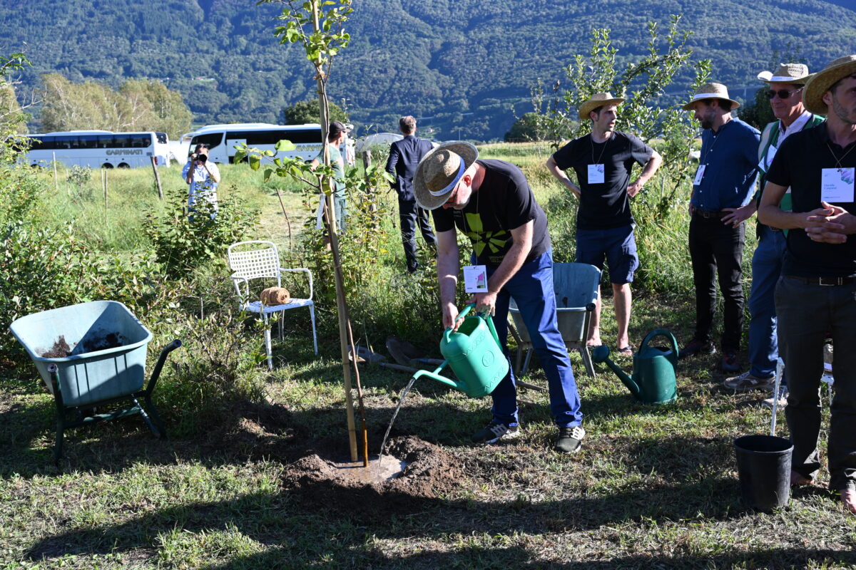 land-landconnects-2026-treeplanting